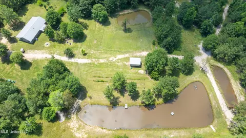 Other - 112 Wolf Branch Rd, Perkinston, MS 39573 photo 8 of 22