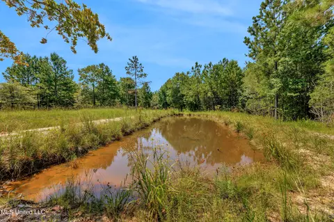 Other - 112 Wolf Branch Rd, Perkinston, MS 39573 photo 18 of 22