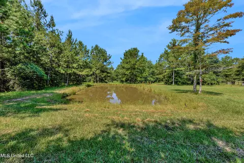 Other - 112 Wolf Branch Rd, Perkinston, MS 39573 photo 16 of 22