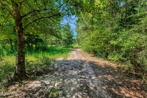 Other - 112 Wolf Branch Rd, Perkinston, MS 39573 photo 19 of 22