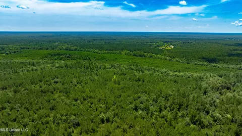 Other - 112 Wolf Branch Rd, Perkinston, MS 39573 photo 14 of 22