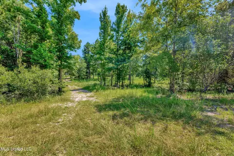 Other - 112 Wolf Branch Rd, Perkinston, MS 39573 photo 21 of 22
