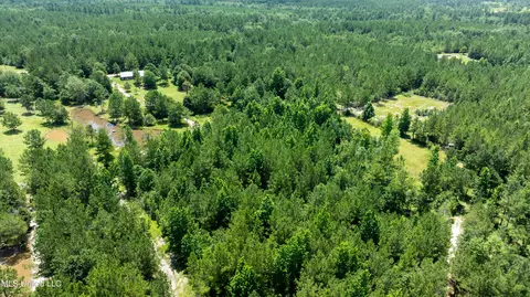 Other - 112 Wolf Branch Rd, Perkinston, MS 39573 photo 13 of 22