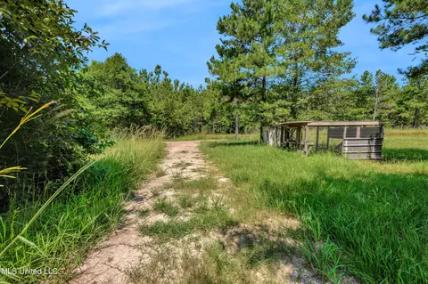 Exterior - 112 Wolf Branch Rd, Perkinston, MS 39573 photo 5 of 6