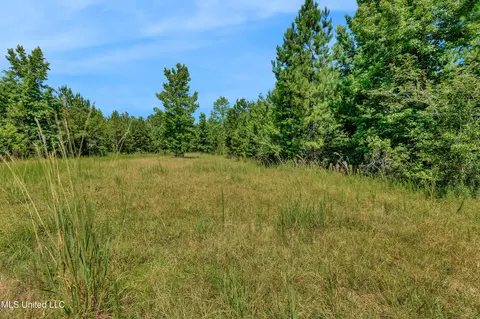 Other - 112 Wolf Branch Rd, Perkinston, MS 39573 photo 20 of 22
