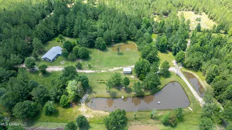 Other - 112 Wolf Branch Rd, Perkinston, MS 39573 photo 7 of 22