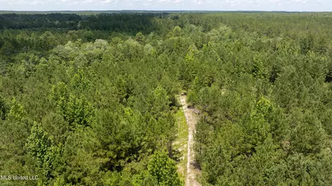 Other - 112 Wolf Branch Rd, Perkinston, MS 39573 photo 12 of 22
