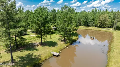 View/Area - 112 Wolf Branch Rd, Perkinston, MS 39573 photo 1 of 3