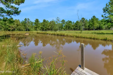 View/Area - 112 Wolf Branch Rd, Perkinston, MS 39573 photo 3 of 3