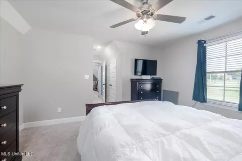 160 Oak Manor Dr, Coldwater, MS 38618 photo 36