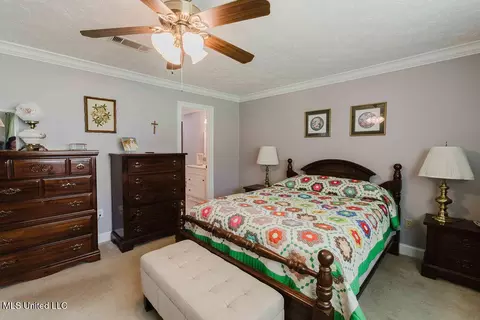 49 Wintergreen Rd, Madison, MS 39110 photo 18