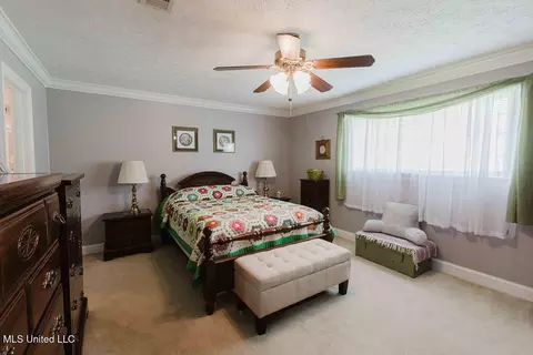 49 Wintergreen Rd, Madison, MS 39110 photo 17