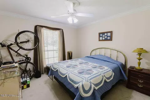 49 Wintergreen Rd, Madison, MS 39110 photo 21