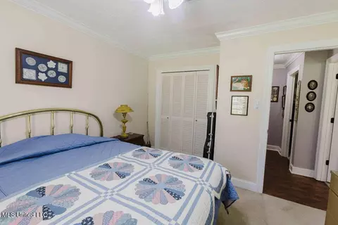 49 Wintergreen Rd, Madison, MS 39110 photo 22