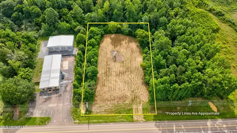 Scott Street, Senatobia, MS 38668