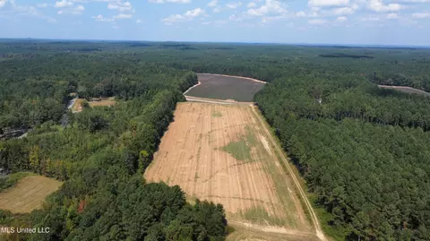 County Road 43, Eupora, MS 39744