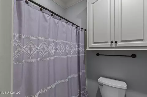 Bath - 208 Kitty Hawk Cir, Brandon, MS 39047 photo 6 of 6