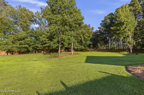 Exterior - 208 Kitty Hawk Cir, Brandon, MS 39047 photo 18 of 19