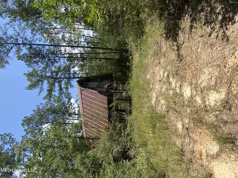 Bear Drive, Carriere, MS 39426