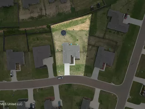 View/Area - 102 Brunswick Cv, Canton, MS 39046 photo 1 of 1