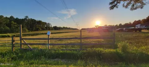 Other - 20029 Borzik Rd, Saucier, MS 39574 photo 11 of 11