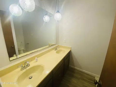 Bath - 763 S Springlake Cir, Terry, MS 39170 photo 4 of 5