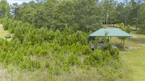 Burnt Pine Road, Leakesville, MS 39451