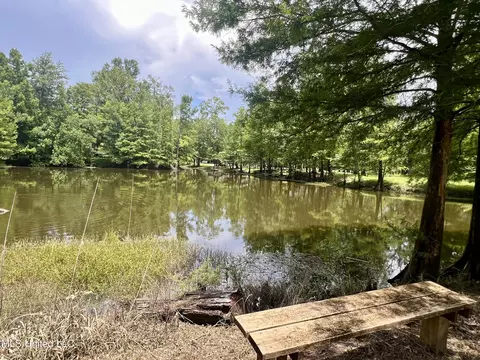 197 Deer Ln, Lucedale, MS 39452 photo 24