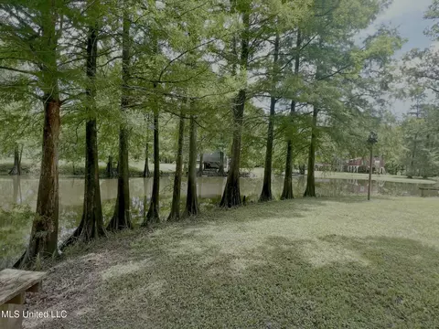 197 Deer Ln, Lucedale, MS 39452 photo 3
