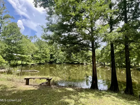 197 Deer Ln, Lucedale, MS 39452 photo 2