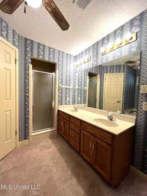 Bath - 7582 Dewberry Cv, Olive Branch, MS 38654 photo 2 of 3