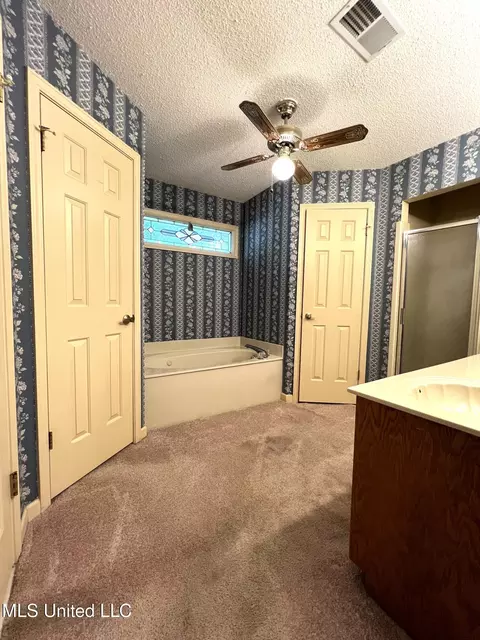 Bath - 7582 Dewberry Cv, Olive Branch, MS 38654 photo 1 of 3