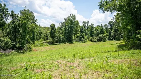 3169 Paved Rd, Port Gibson, MS 39150