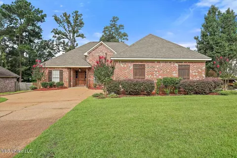 593 Turtle Ln, Brandon, MS 39047