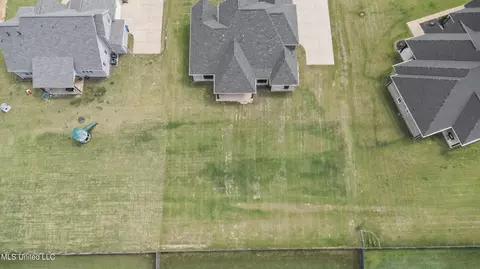 View/Area - 4172 Brooke Dr, Nesbit, MS 38651 photo 1 of 3