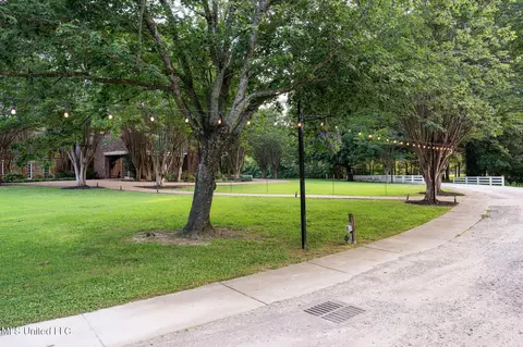 Exterior - 4703 Bonne Terre Dr, Nesbit, MS 38651 photo 8 of 9