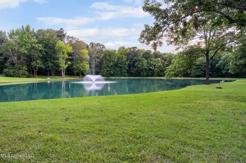 Other - 4703 Bonne Terre Dr, Nesbit, MS 38651 photo 14 of 15