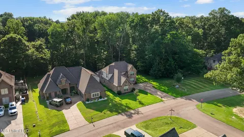 View/Area - 4703 Bonne Terre Dr, Nesbit, MS 38651 photo 3 of 4