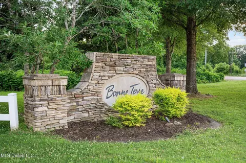 Other - 4703 Bonne Terre Dr, Nesbit, MS 38651 photo 11 of 15
