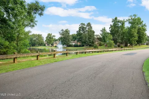 Other - 4703 Bonne Terre Dr, Nesbit, MS 38651 photo 12 of 15
