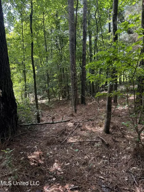 0 Seventh Day Rd, Florence, MS 39073 photo 5