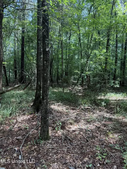 0 Seventh Day Rd, Florence, MS 39073 photo 10