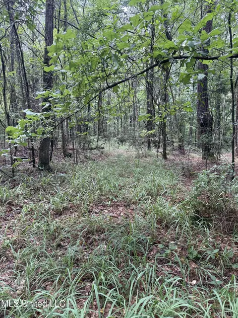 0 Seventh Day Rd, Florence, MS 39073 photo 7