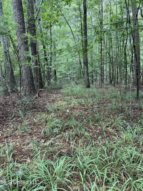 0 Seventh Day Rd, Florence, MS 39073 photo 8