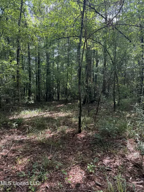 0 Seventh Day Rd, Florence, MS 39073 photo 9