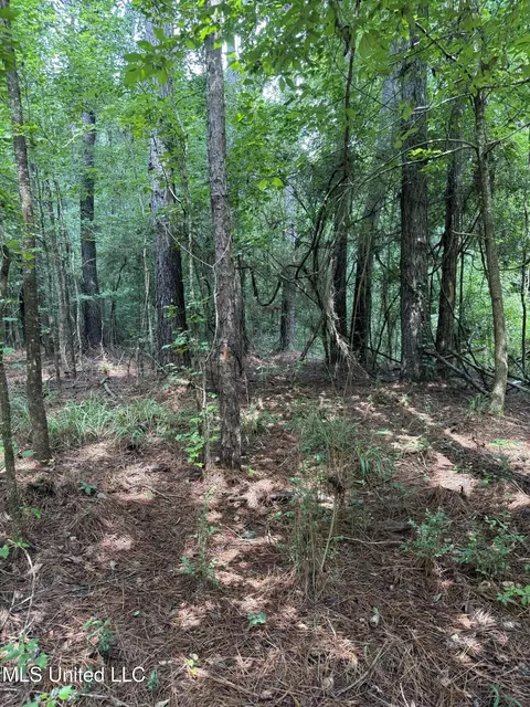 0 Seventh Day Rd, Florence, MS 39073 photo 6