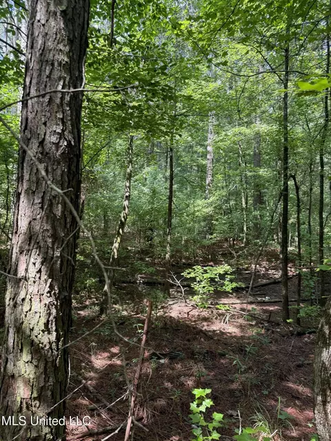 0 Seventh Day Rd, Florence, MS 39073 photo 2