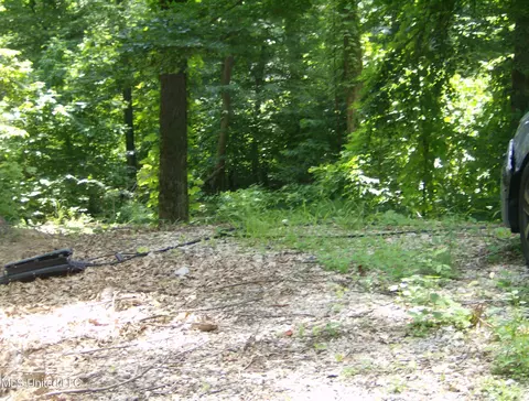 3310 Monans Rill Cv, Hernando, MS 38632 photo 1