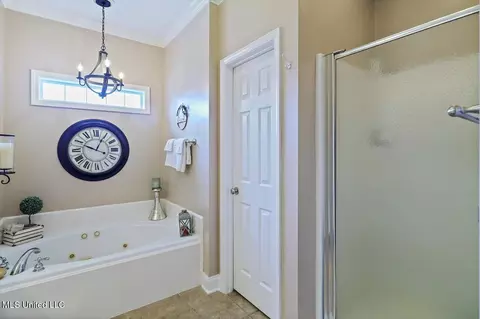 Bath - 238 John Martin Dr, Brandon, MS 39047 photo 2 of 3