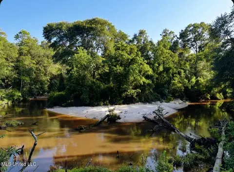 W Union Road, Carriere, MS 39426